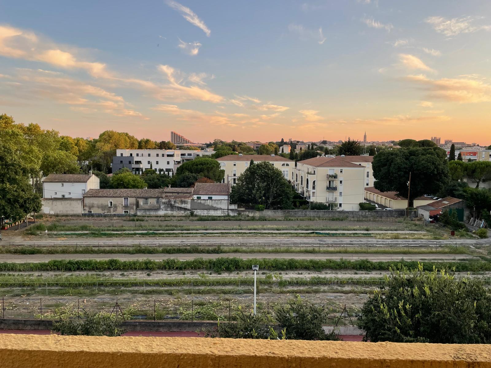 La Cité Bergère à Montpellier au coucher du soleil